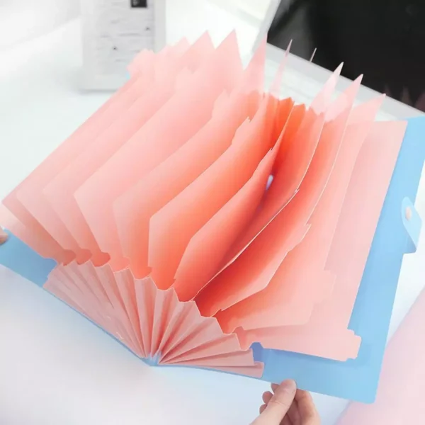 my-11134207-820l8-mg3gxfhhsf0q46.webp Random A4 12 Pocket Expanding File Folder
