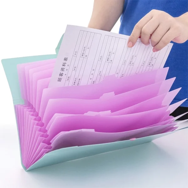 my-11134207-820ld-mg3gxjs0apla7f.webp Random A4 12 Pocket Expanding File Folder